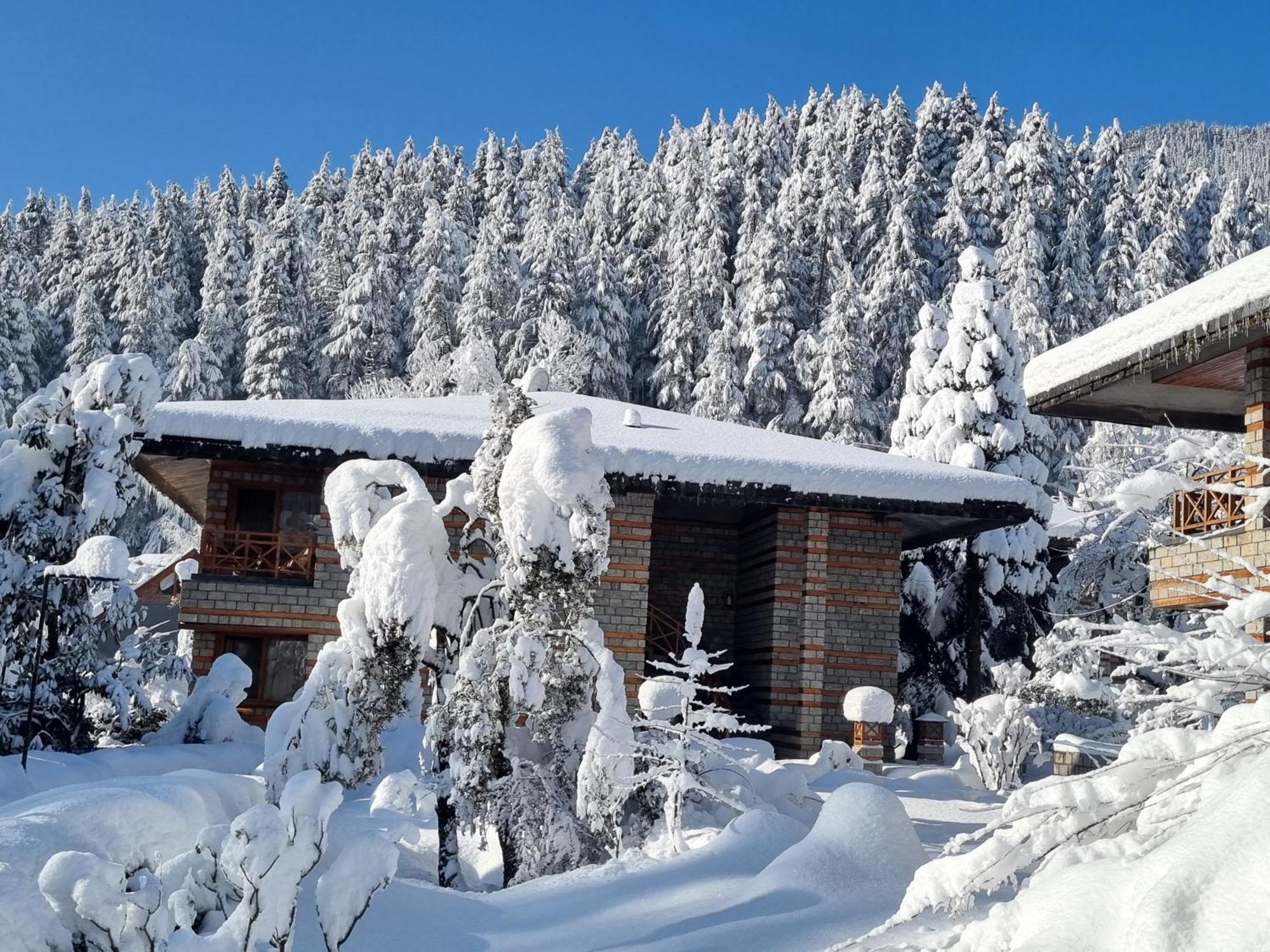 Banon Resorts Manāli Εξωτερικό φωτογραφία