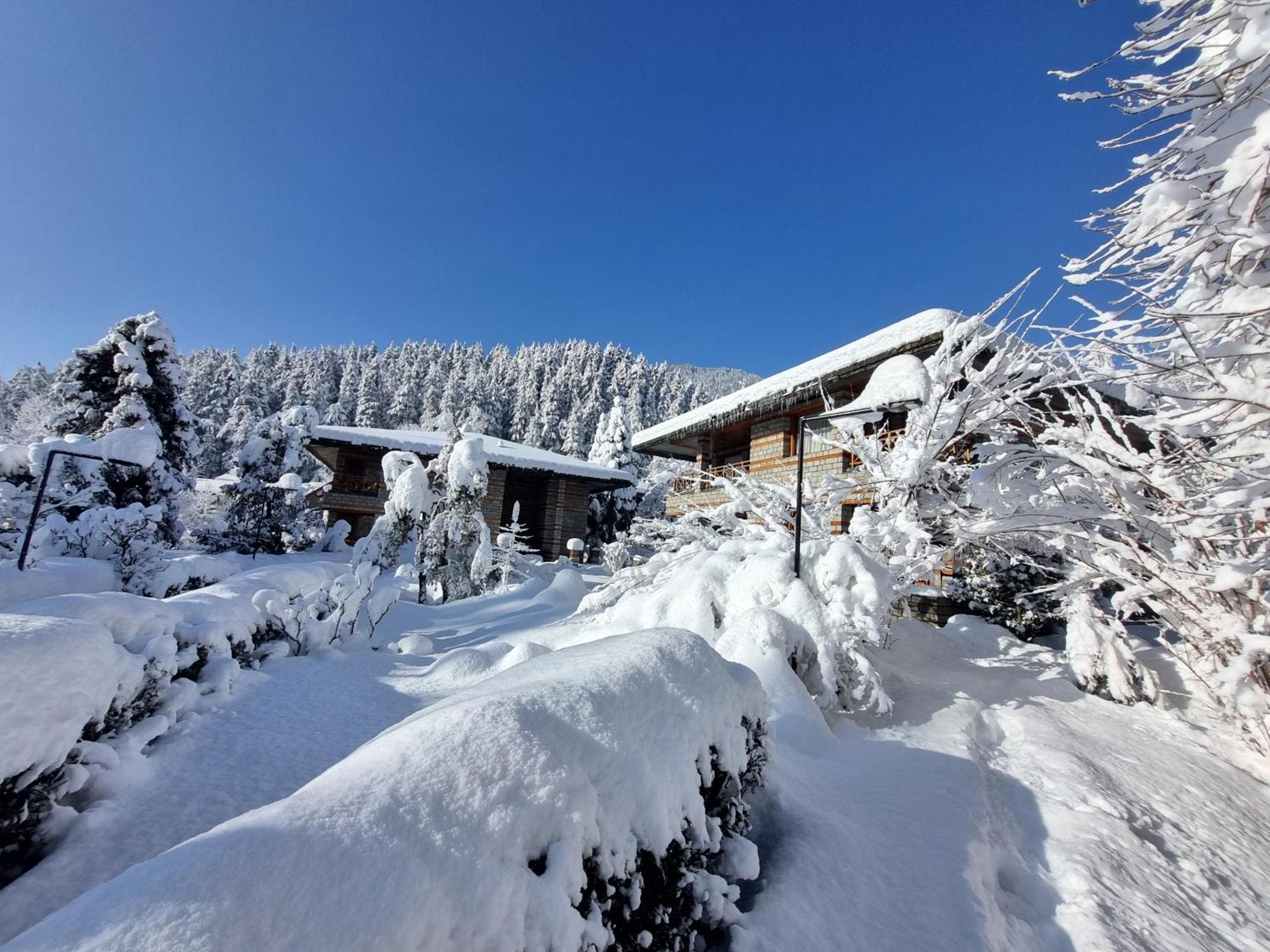 Banon Resorts Manāli Εξωτερικό φωτογραφία